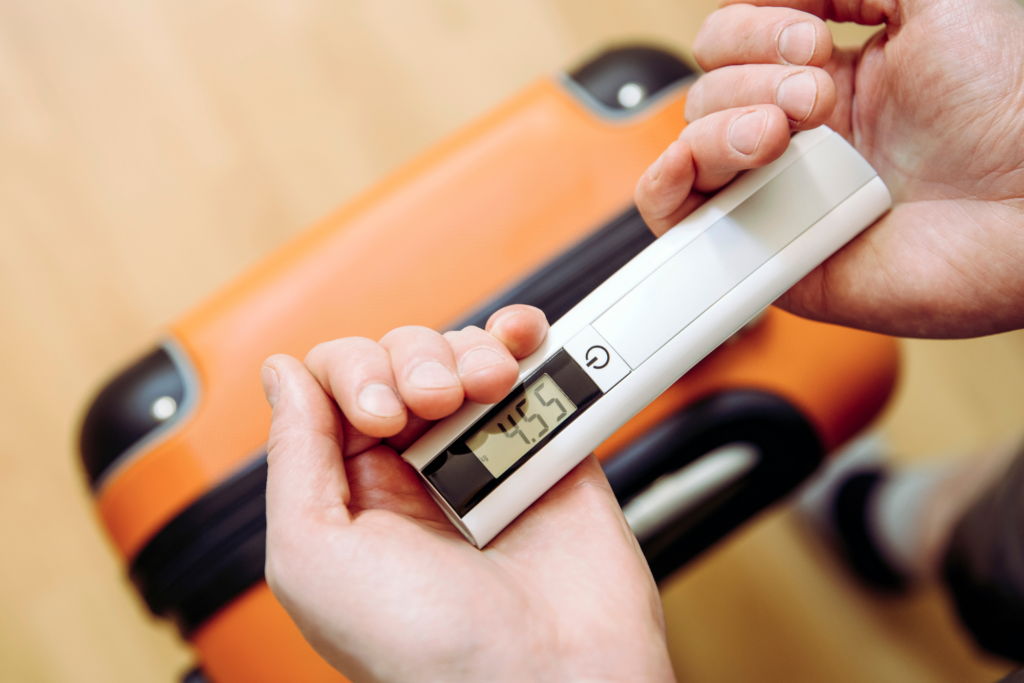 Portable luggage scale